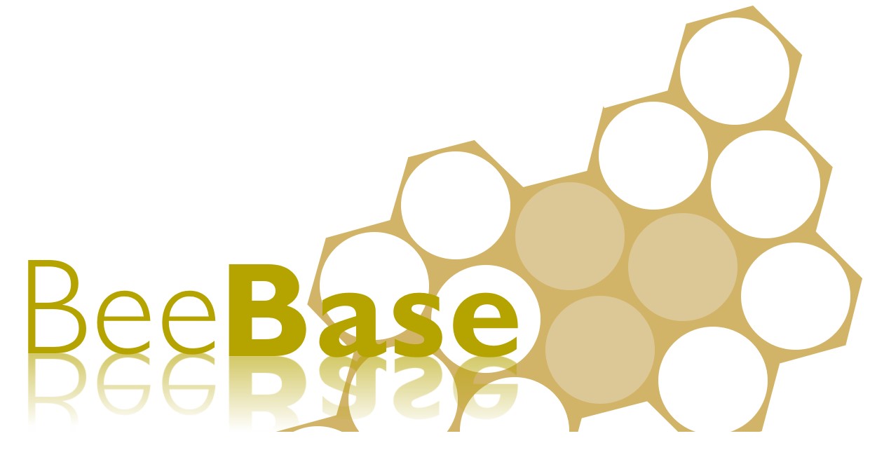 Beebase Logo