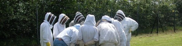 Beekeepers huddle around hive