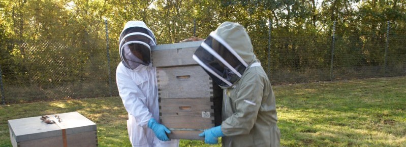 Two Beekeepers carrying a hive