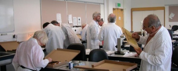 Beekeepers taking part in NBU disease workshop