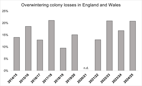 Overwintering colony losses 